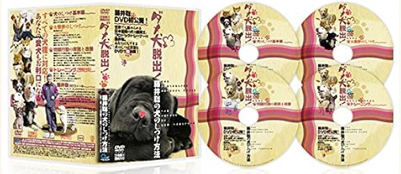 Amazon.co.jp: ダメ犬脱出、藤井聡の犬のしつけ方法【日本一の